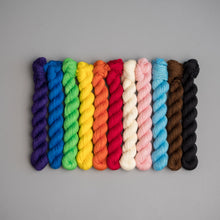 Load image into Gallery viewer, Progressive Pride Flag - Sock 11 x 20g Mini
