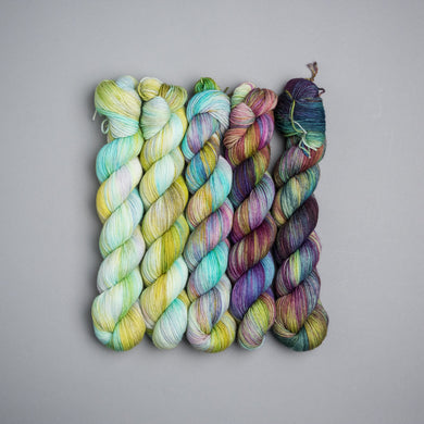 Spring - Untamed Fade - Sock/DK - 5 x 20/50g