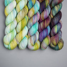 Load image into Gallery viewer, Spring - Untamed Fade - Sock/DK - 5 x 20/50g