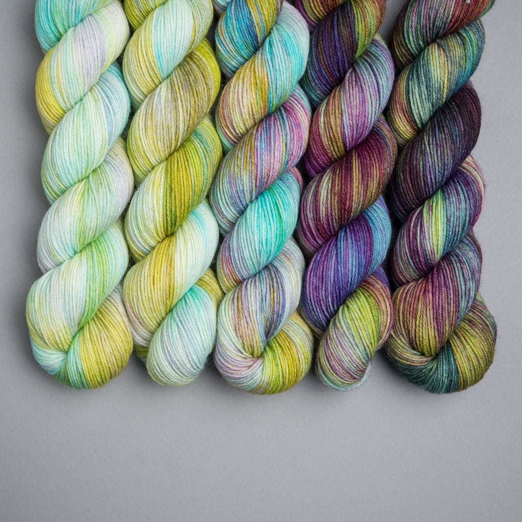 Spring - Untamed Fade - Sock/DK - 5 x 20/50g