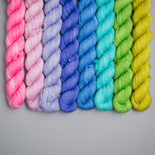 Load image into Gallery viewer, MID Untamed Mini Skein Solid Set - Sock - 8 x 20g