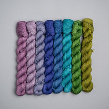 Load image into Gallery viewer, JEWEL Untamed Mini Skein Solid Set - Sock - 8 x 20g