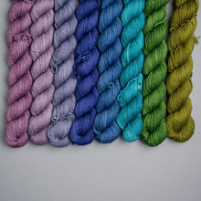 Load image into Gallery viewer, JEWEL Untamed Mini Skein Solid Set - Sock - 8 x 20g