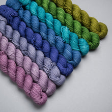 Load image into Gallery viewer, JEWEL Untamed Mini Skein Solid Set - Sock - 8 x 20g