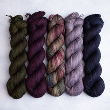 Load image into Gallery viewer, Barolo - Sock - 100g Skein